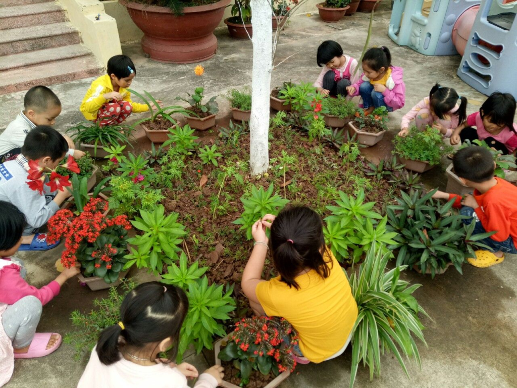 Tham gia hoạt động ngoài trời là cách để bé có cơ hội tương tác, giao tiếp với nhiều người