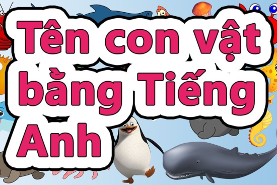 100+ Từ Vựng Giúp Bé Học Nói Các Con Vật Bằng Tiếng Anh