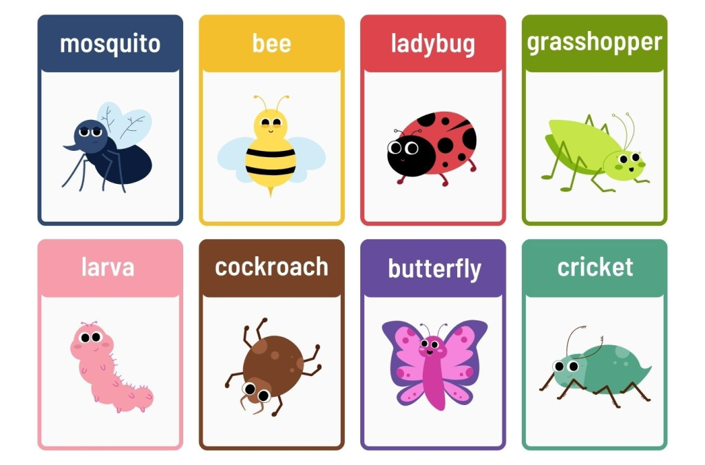 bé học nói các con vật bằng tiếng anh - các loài bướm và côn trùng