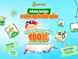 Khởi Đầu Năm Học Mới, Tiếng Anh Bứt Phá Cùng Chip Chip