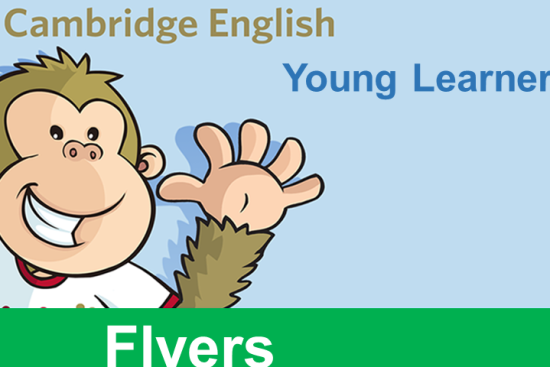 Tài Liệu Cambridge Flyers Cho Bé Tốt Nhất: Đánh Giá Và Hướng Dẫn Chọn Lựa